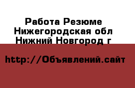 Работа Резюме. Нижегородская обл.,Нижний Новгород г.